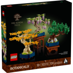 Mini Bonsai Trees 10373