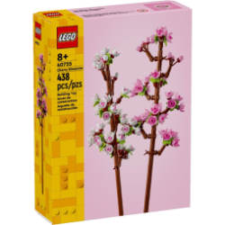 Cherry Blossoms 40725